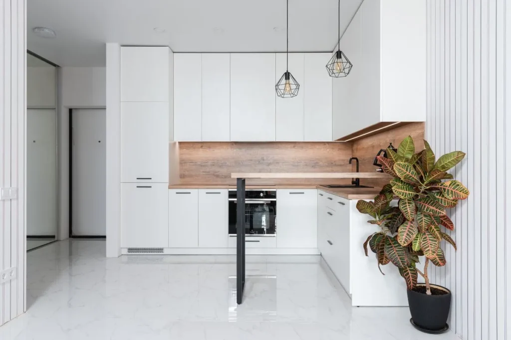 Plantas Para Apartamento Pequeno