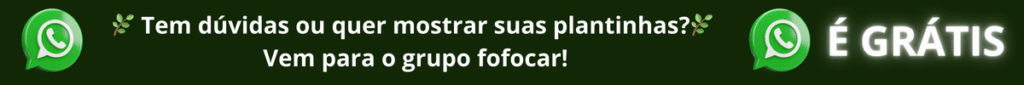 Fofoca das Plantas