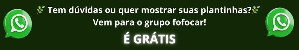 Fofoca das Plantas