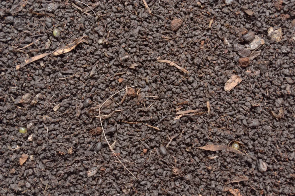 adubo para plantas