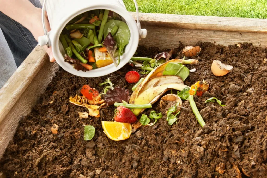 adubo para plantas