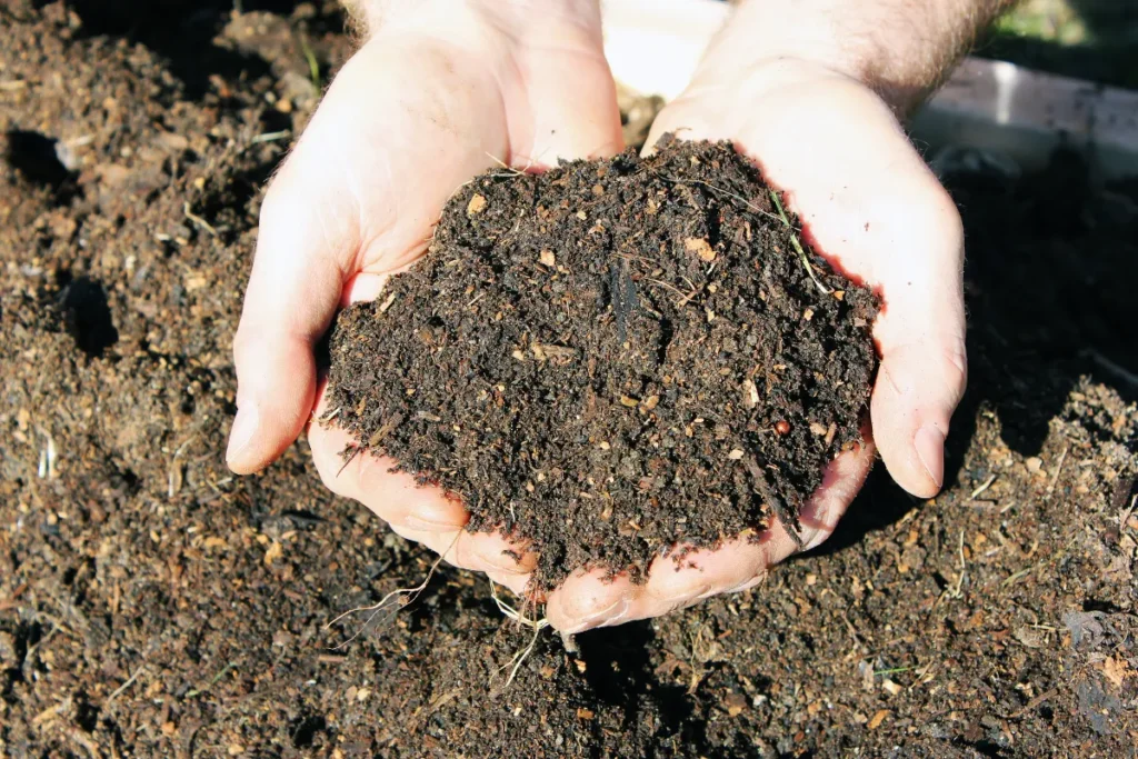 adubo para plantas