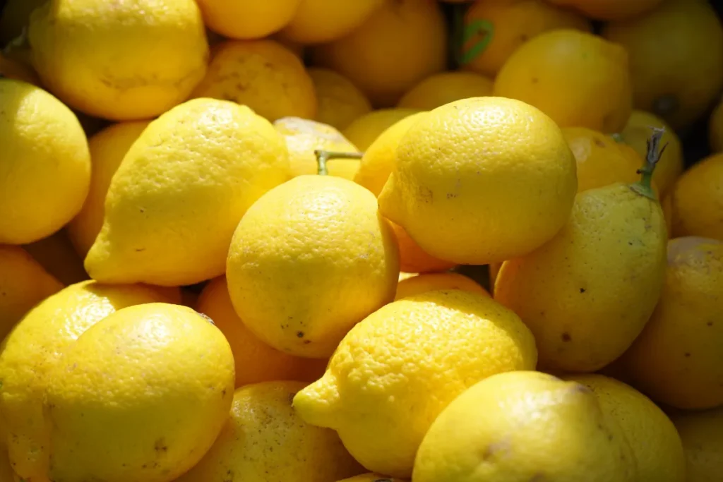 como cultivar limão siciliano