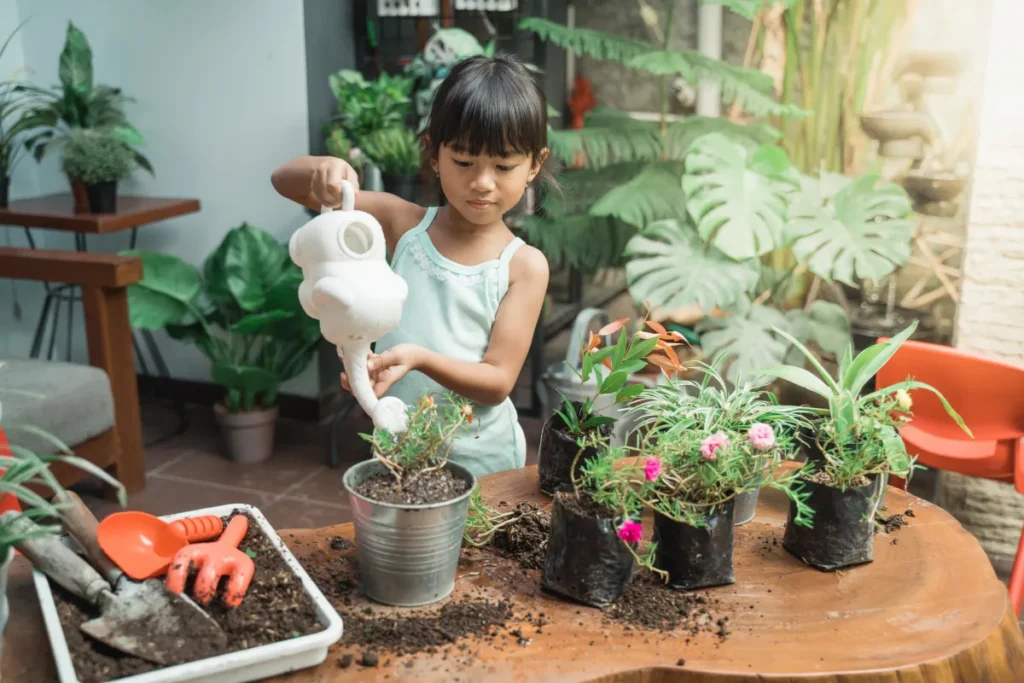 rega de plantas