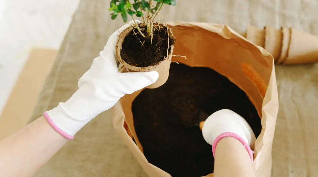 Como fazer drenagem no vaso de planta