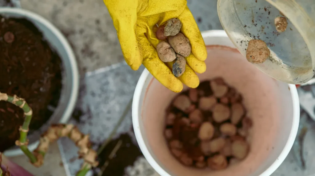 Como fazer drenagem no vaso de planta