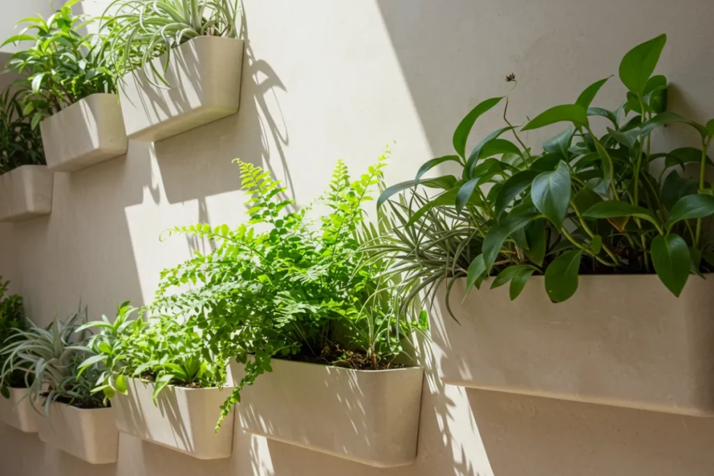 Jardim Vertical Interno