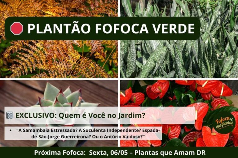 Plantão Fofoca Verde