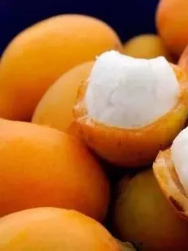 Você Conhece essa Fruta?